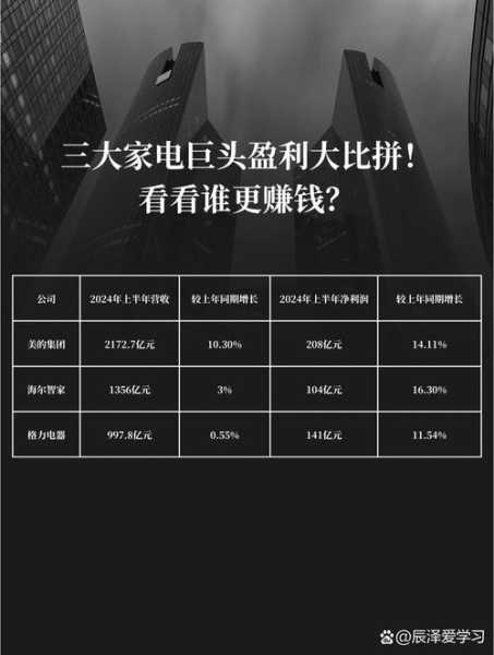 家电行业巨头崭露头角——谁领风骚？