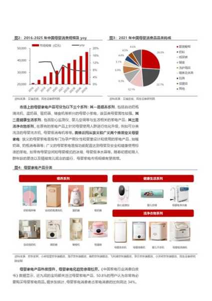 家电行业，上市之路的探索与展望
