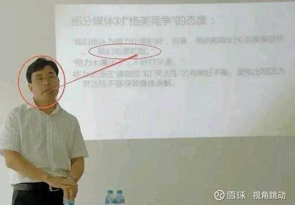 家电行业分析师刘步尘