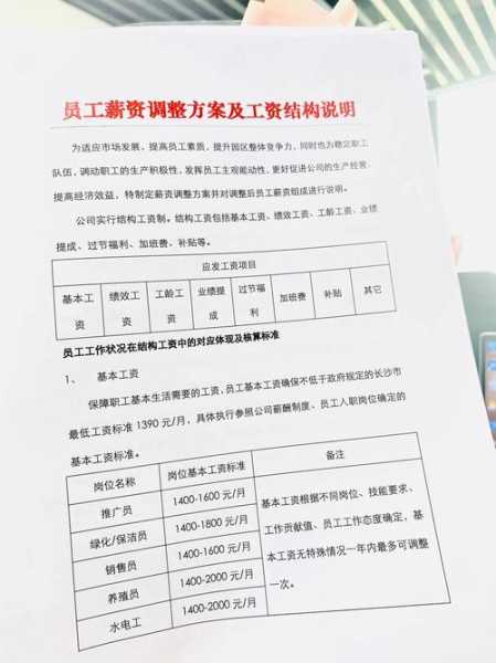 家电员工工资薪酬方案范文