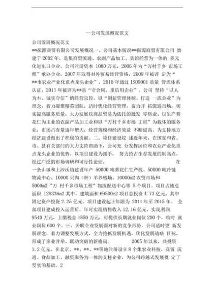 企业发展概况怎么写范文