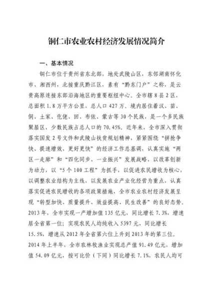农村发展概况怎么写