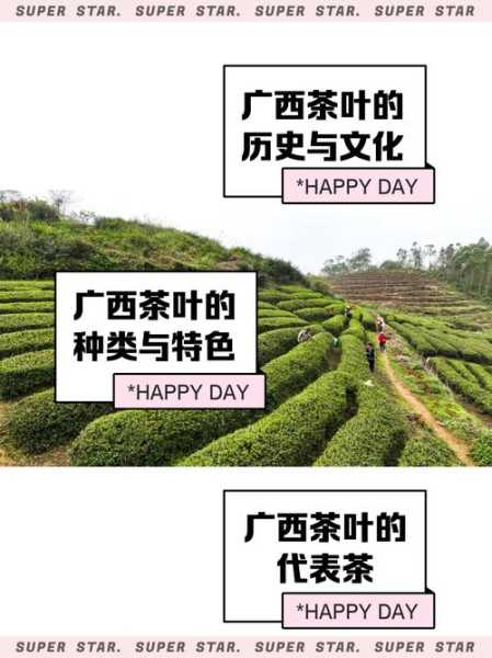 广西茶产业的发展状况