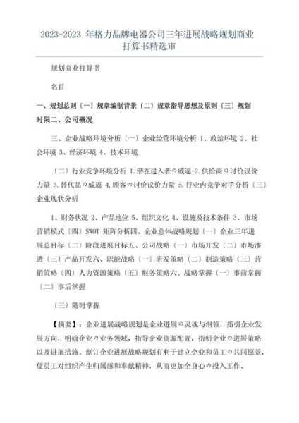家电公司发展战略