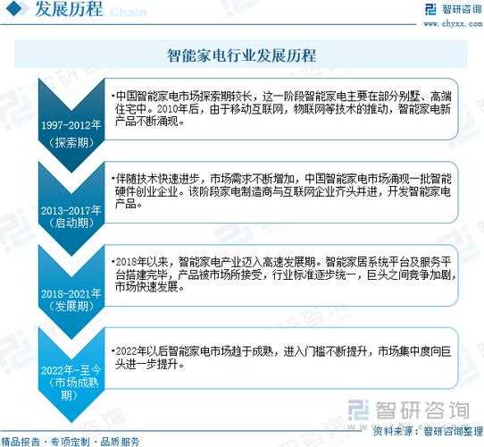 家电企业发展战略研究