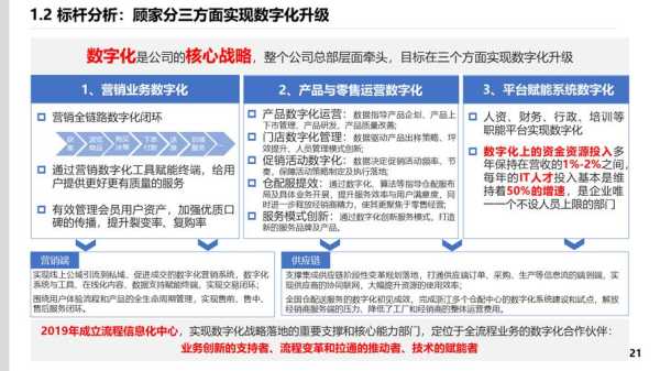 家电企业发展战略规划