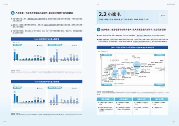 国内家电企业营销战略