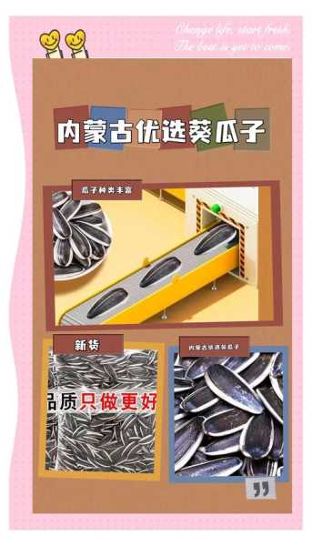 空气炸锅瓜子的做法