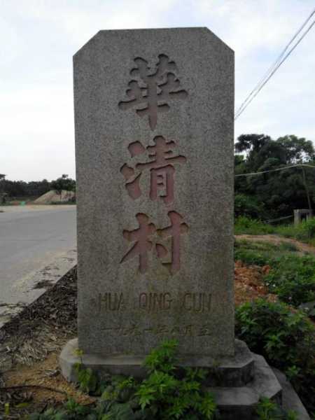 揭阳市揭东区锡场镇华清村林延杰书记审问视频