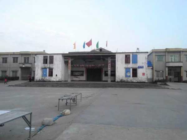 揭阳市揭东区锡场镇华清村林延杰书记拘留视频