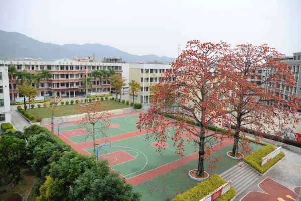 揭阳市揭东区锡场镇华清初中