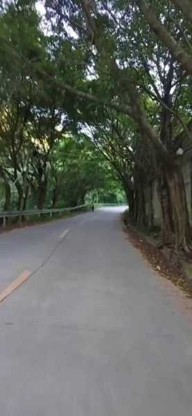 揭东锡场华清