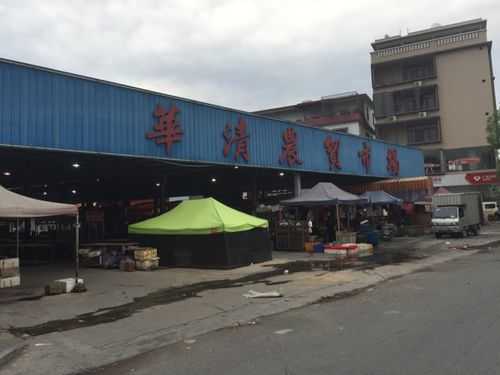 广东省揭阳市华清村委会电话