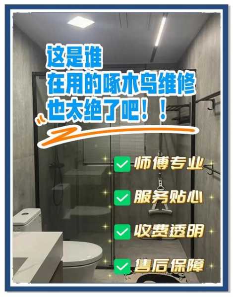 啄木鸟专业修漏水
