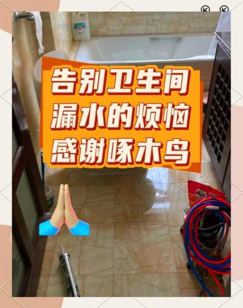 啄木鸟专业修漏水