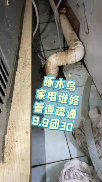 啄木鸟维修水管