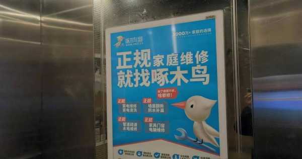 啄木鸟维修电话